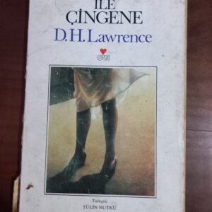 Bakire İle Çingene